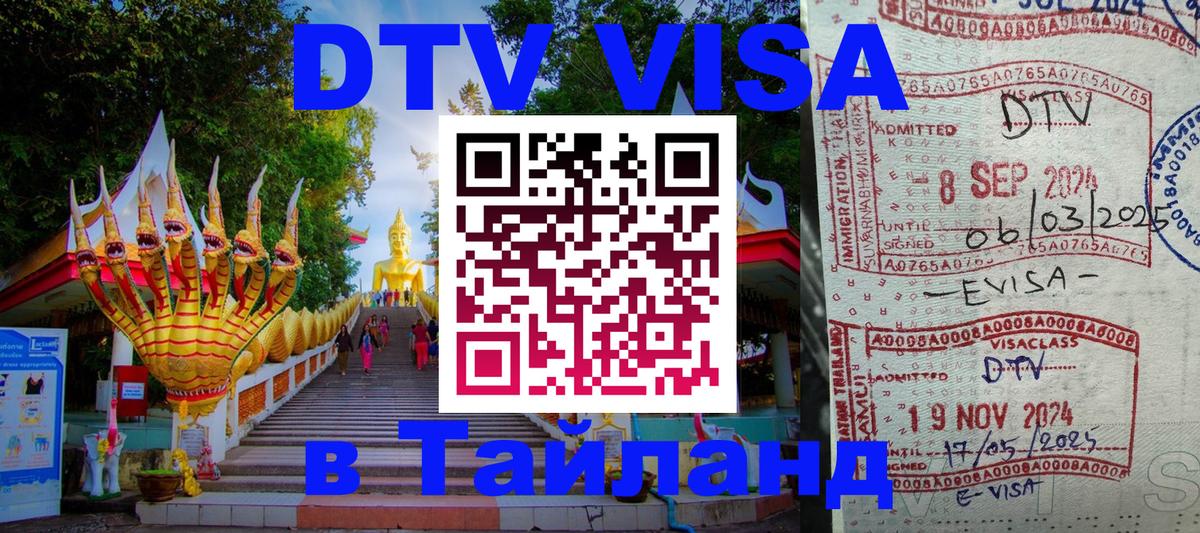 Сколько стоит DTV виза — актуальные цены, оформление даже без документов - Ессентуки 